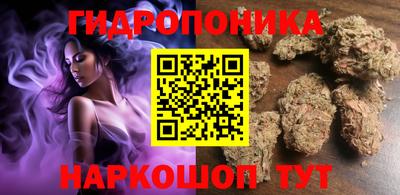 кокс Кандалакша