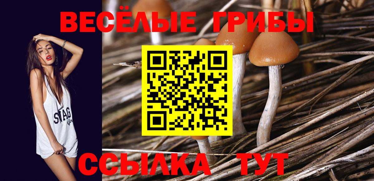 Галлюциногенные грибы MAGIC MUSHROOMS  Псилоцибиновые грибы ЛСД  Вход с VPN  Краснознаменск 