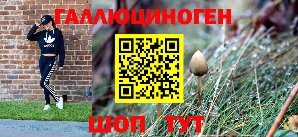 Псилоцибиновые грибы Cubensis Краснознаменск